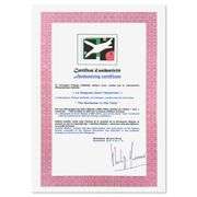 "La Nageuse dans l'Aquarium (The Swimmer in the Tank)" by Henri Matisse 1869-1954 (After)