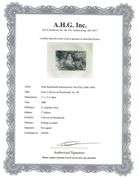 Extremely Rare and Collectible Antique Etching After Rembrandt, c. 1880