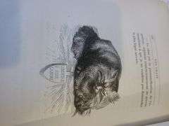 Cat Series! Highly collectable and rare Manet Book, c.1870 - 8 original etching included Manet LesCh