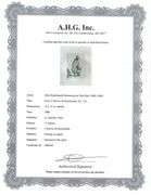 Extremely Rare and Collectible Antique Etching After Rembrandt, c. 1880