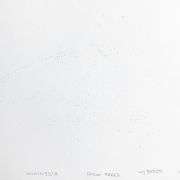 "Palm Trees" by Wyland