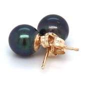 14kt Yellow gold 7mm Peacock pearl stud earrings