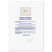 "The Little Prince Lying On The Grass" by Antoine de Saint-Exupery 1900-1944 (After)