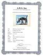 Highly Collectible Picasso Original Color Pochoir, Cat Biting a Bird