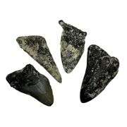 Lot of Genuine Megalodon Shark Tooth Fragments