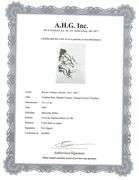 Collectible Vintage Renato Guttuso From 'Erotic Drawings' Drawings