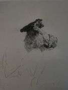 Collection of 15 Very Rare Etchings After Rembrandt (c. 1880)