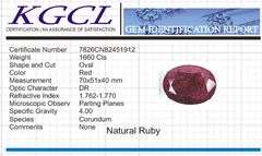 Magnificent Certified Museum Size 1660 Ct Natural Red Ruby Solitaire