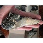 Lot of Genuine Megalodon Shark Tooth Fragments