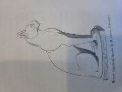 Cat Series! Highly collectable and rare Manet Book, c.1870 - 8 original etching included Manet LesCh