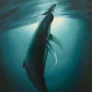 "The First Breath" by Wyland