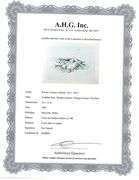 Limited Edition Renato Guttuso Artwork from 'Disegni Eritoci' Portfolio