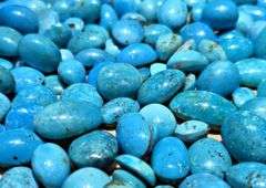 All-Natural high grade Loose Persian turquoise lot - 1217 grams 186 pieces