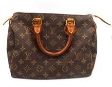 Louis Vuitton Speedy 25 purse