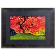 "Tree of Life" by Peter Lik