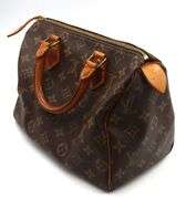 Louis Vuitton Speedy 25 purse