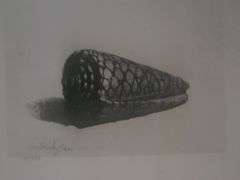 Collection of 15 Very Rare Etchings After Rembrandt (c. 1880)