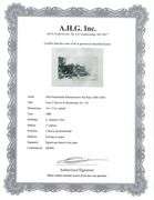 Extremely Rare and Collectible Antique Etching After Rembrandt, c. 1880