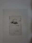 Collection of 15 Very Rare Etchings After Rembrandt (c. 1880)