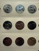 Ike Dollars Complete With Varieties