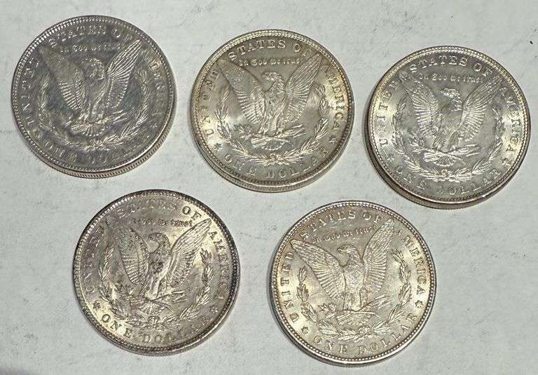 5  Different Slider Morgan Dollars