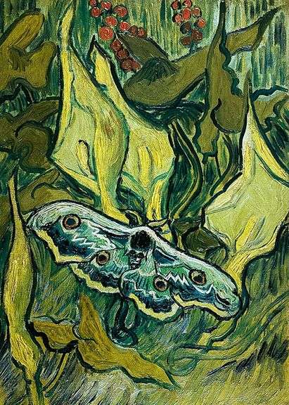 Collectible Vincent van Gogh, Death's Head Moss