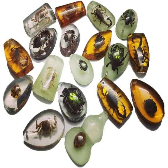 Lot of 18 Preserved Insect Specimens