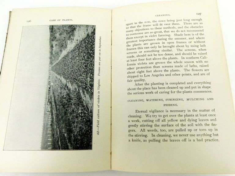 1903 Commercial Violet Culture Antique Book
