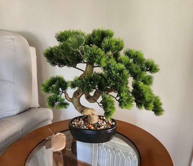 Realistic-Looking Juniper Bonsai Tree