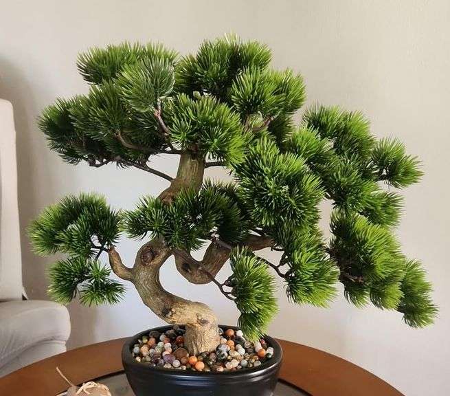 Realistic-Looking Juniper Bonsai Tree