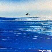 Dolphin by Wyland Original