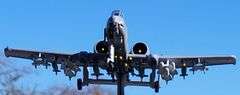 A-10 Thunderbolt II Warthog Attack Plane