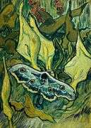 Collectible Vincent van Gogh, Death's Head Moss