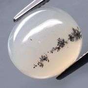 Striking 5.61ct Dendric white Opal cabochon