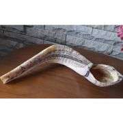 Authentic Ram Horn Shofar from Israel