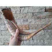 Authentic Ram Horn Shofar from Israel