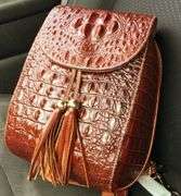 Small Crocodile Leather Backpack