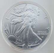 2025 American Silver Eagle