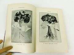 1903 Commercial Violet Culture Antique Book
