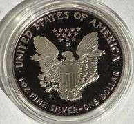 Better Date1993 P Silver Eagle With box and paper