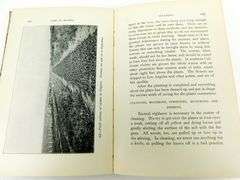 1903 Commercial Violet Culture Antique Book