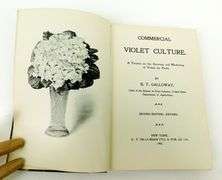 1903 Commercial Violet Culture Antique Book