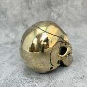 Bali Gold Polished Brass Skull