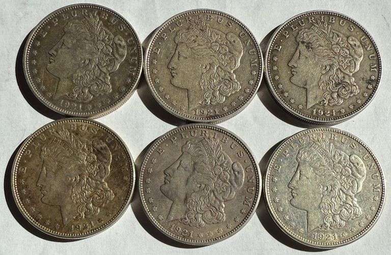 6 Circulated 1921 P D Morgan Dollars