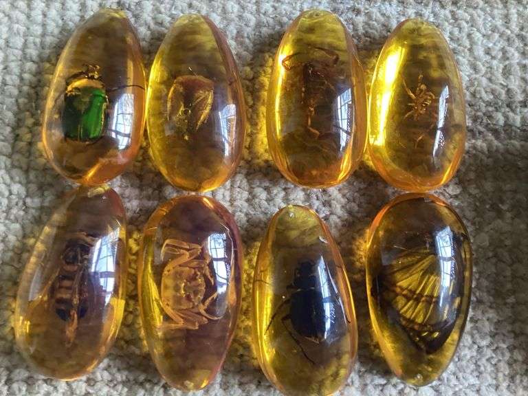 8-Piece Amber Fossil with Insect Specimens