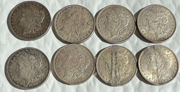 8 Assorted Early Near Slider Morgans