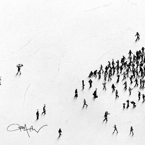 Populus: The Walk by Alan, Craig