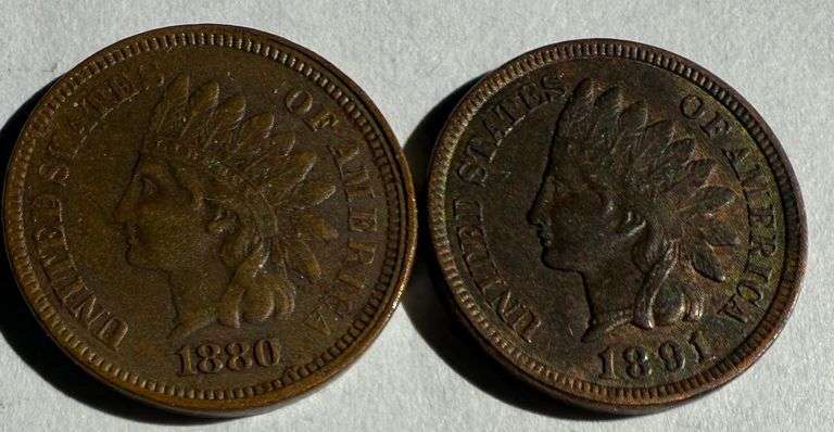 1880 1891 Near Unc Indian Cents