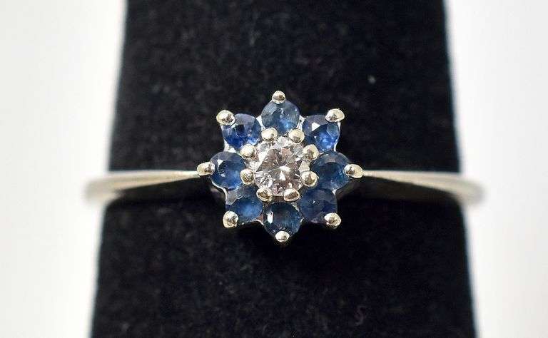 Lavish Diamond and Sapphire Ring in 10K White Gold