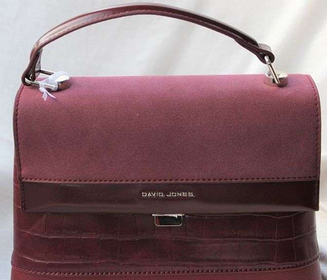 Stylish Designer Bag By David Jones-Paris